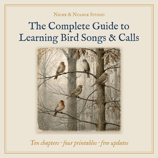 The Complete Guide to Learning Bird Songs & Calls
