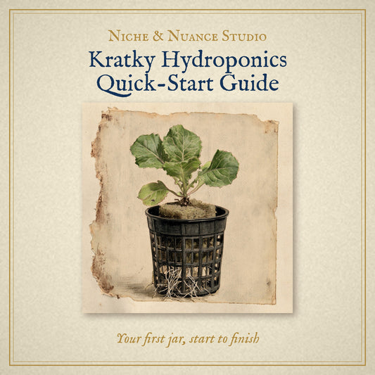 Colour pencil drawing of a lettuce seedling in a net pot, cover of the Kratky Hydroponics Quick-Start Guide